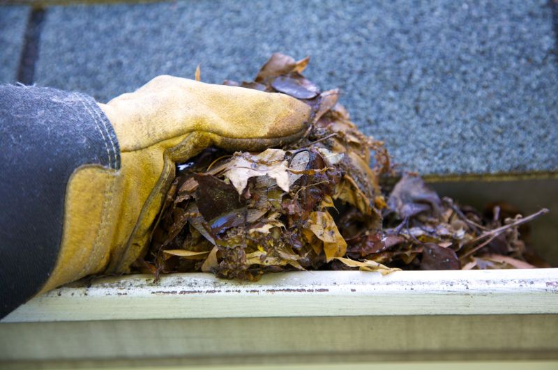 Gutter Leaves Removal in Morris County, NJ