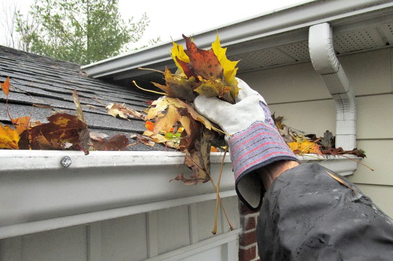Gutter Leaves Removal in Frederick, MD
